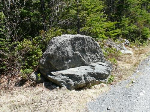 Sittin' Rock, New Perlican, NL