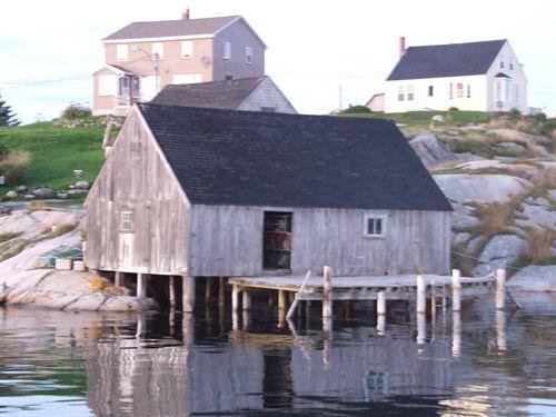 Fish store