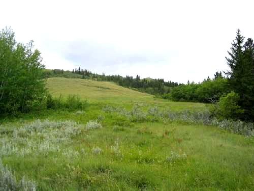 Site Area - View West