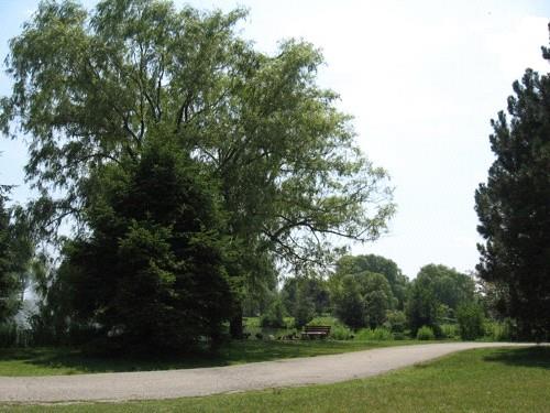 JC Saddington Park, Port Credit Village, 2008