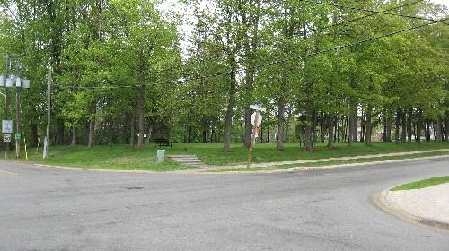 Landscape, Meadowvale Village HCD, 2008
