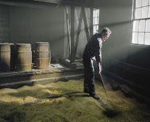 Miller turning oats in the kiln section of the mill. Balmoral Grist Mill, Balmoral Mills, NS, 2004.; Dept. of Tourism, Culture and Heritage, Province of NS, 2004.