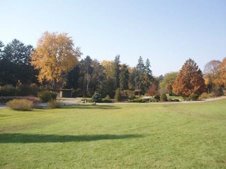 Park, Gairloch Gardens, 2008