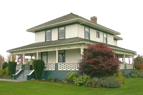 Oblique view, 2006