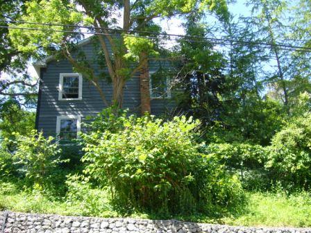 East Elevation, Haines-Lyons House, 2008