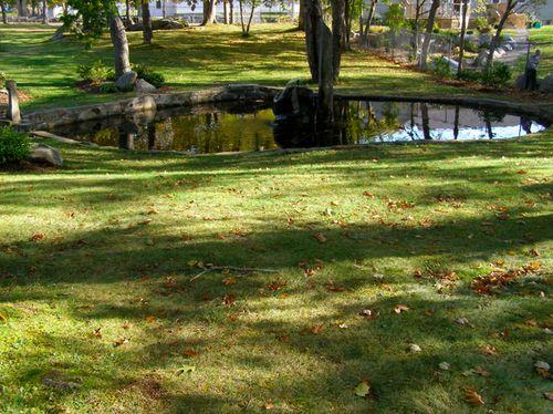 The pond and fountain