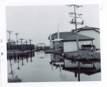 This was the view from the upper northern side of the Old Power House where the brook meets the road, 1959.; Grand Manan Archives, photo from Villages file