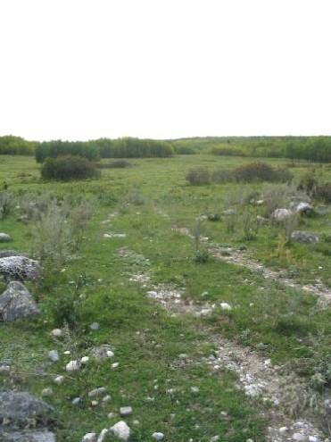 Fort Livingstone Landscape