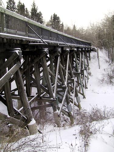 View of the bridge wood supporting structure