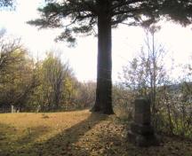 The pine tree is located next to the gravesite of the founders of Hartland, William Orser and Mary Blake-Craig-Orser. ; Doris E. Kennedy