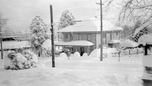Oblique view, no date