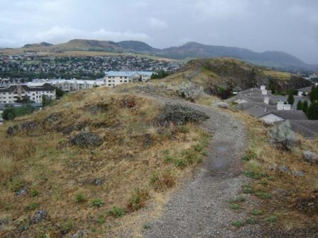 General view, 2009
