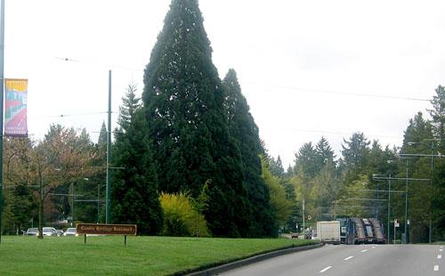 Looking south from King Edward Avenue