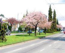 View of Cambie Heritage Boulevard, 2007; City of Vancouver, 2007