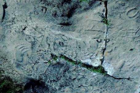 St. Victor Petroglyphs Provincial Park