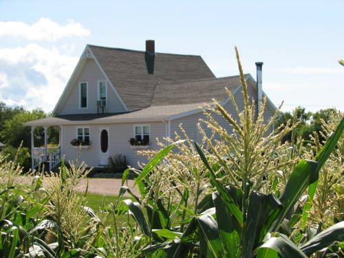 Jeffery Homestead, 2009