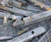 Steelhead Cemetery; Ministry of Environment, BC Parks, 2010
