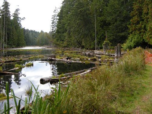 Mallard Lake and dam