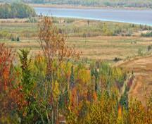 The British force landed to the north (top left).  They destroyed crops as they advanced through these fields and into the village.; Village of Hillsborough