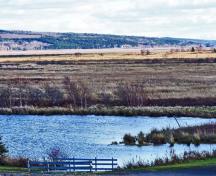 The Acadian force approached from the south and took up positions behind the dykes along the river. ; Village of Hillsborough