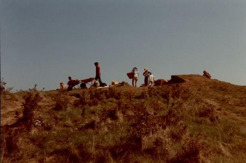 Vue générale