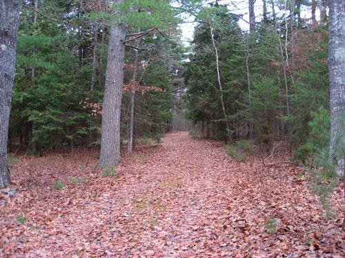 Parc de conservation Pines