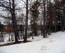 Cette image montre un sentier au parc de conservation Pines en hiver; Village of Cambridge-Narrows