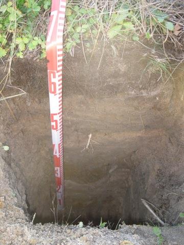 Stratified sands underlying peat deposits