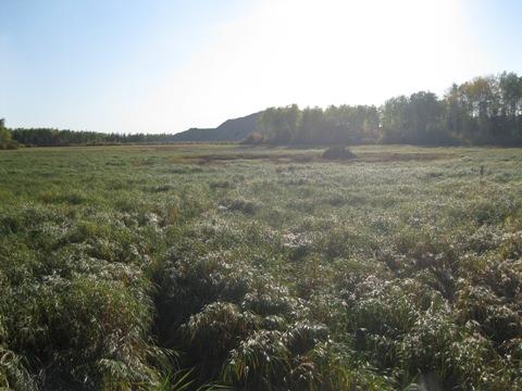 View south of wetland and industry stockpile