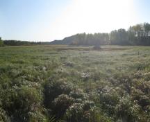 Quarry of the Ancestors; Alberta Culture and Community Services, Historic Resources Management Branch (September 2011)