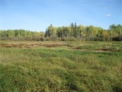 View northeast of BRS procurement area, HhOv-319