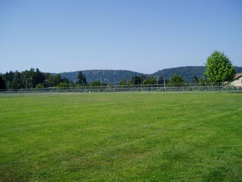 sports field