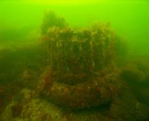 Zephyr Shipwreck; Underwater Archaeological Society of British Columbia, 2008