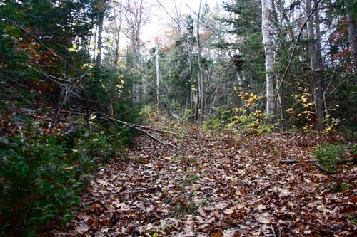 Old Portage Trail