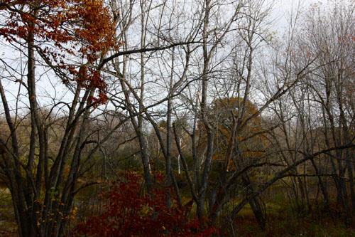 Old Portage Trail