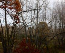 A section of the Old Portage Trail; Town of Grand Bay-Westfield