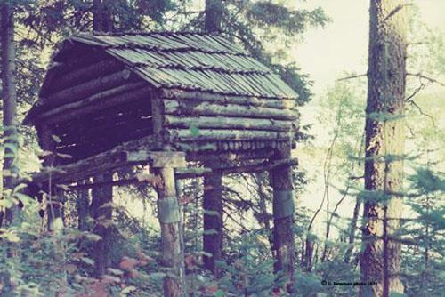 Cache structure near Gunanoot grave on Boswer Lake.