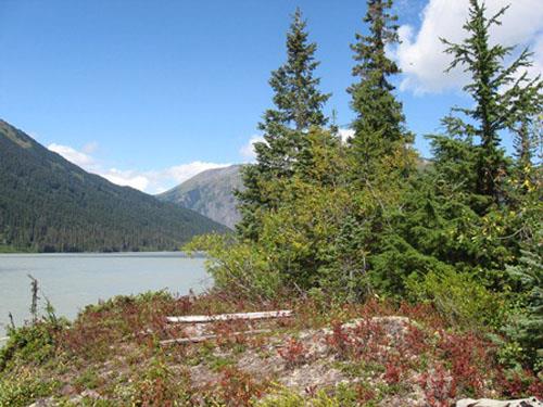 Gunanoot Gravesite on bluff above Bowser Lake.