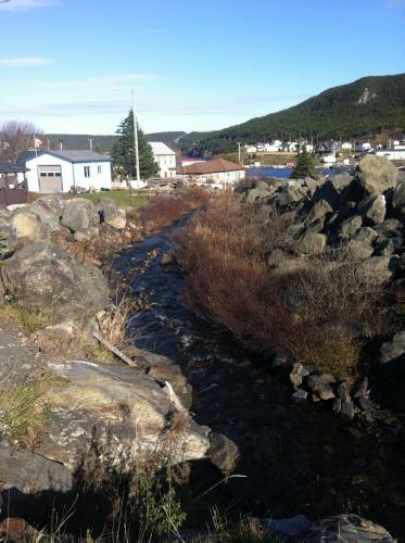 Harry's Brook, New Perlican, NL 