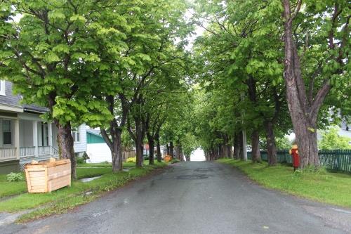 Cable Avenue Heritage District, Bay Roberts, NL 
