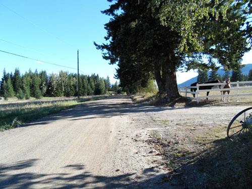 Landscape view of road looking south, 2012
