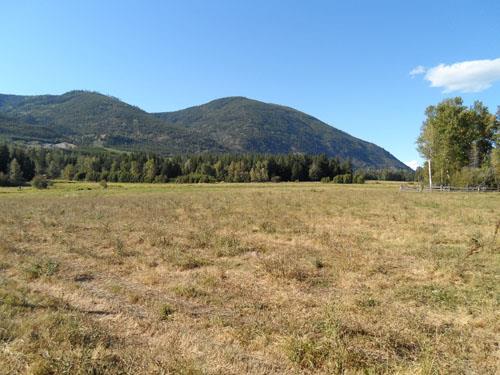 Landscape view looking northwest, 2012