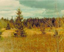 General view of Debert Palaeo-Indian Site National Historic Site of Canada.; Parks Canada Agency / Agence parcs Canada.
