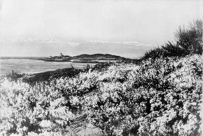 Historic photograph