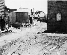 View of Neil's Harbour Lighthouse in background; Nova Scotia Archives \ Archives de la Nouvelle-Écosse, Clara Dennis, acc. 1981-541 no. 187CB