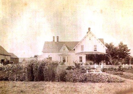 Maplethorpe 1904