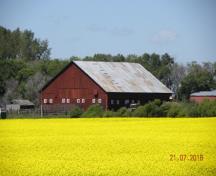 Vue sud-est, de la grange, ferme Armstrong, région de Rossburn, 2017.; Historic Resources Branch, Manitoba Sport, Culture and Heritage, 2017