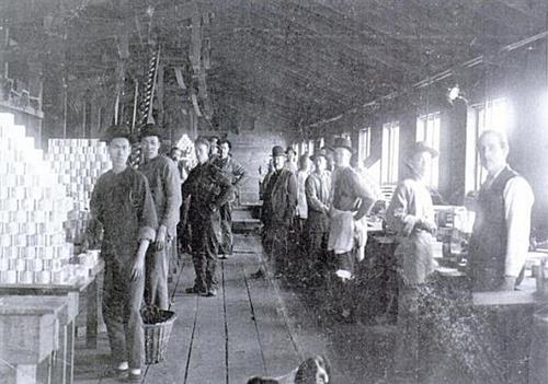 Chinese workers at Cleeve Cannery, New Westminster, circa 1904