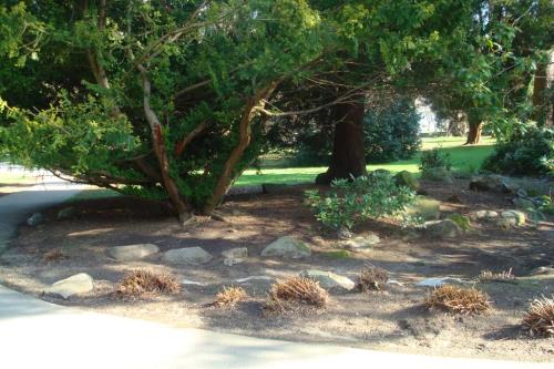 Stanley Park Rock Garden, 2008