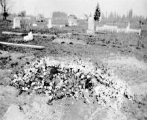 Cemetery with coffin covered with flowers, 1926; Maple Ridge Museum and Archives, P04749
